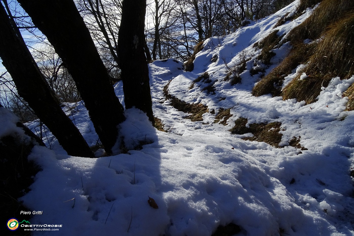 64 Salendo sui fianchi dello  Zuccone (1262 m)  e Corno dell'Arco (1268 m) .JPG